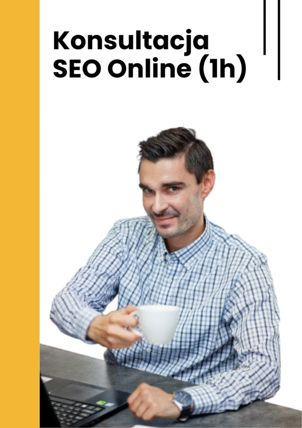 Konsultacja SEO Online (1h)